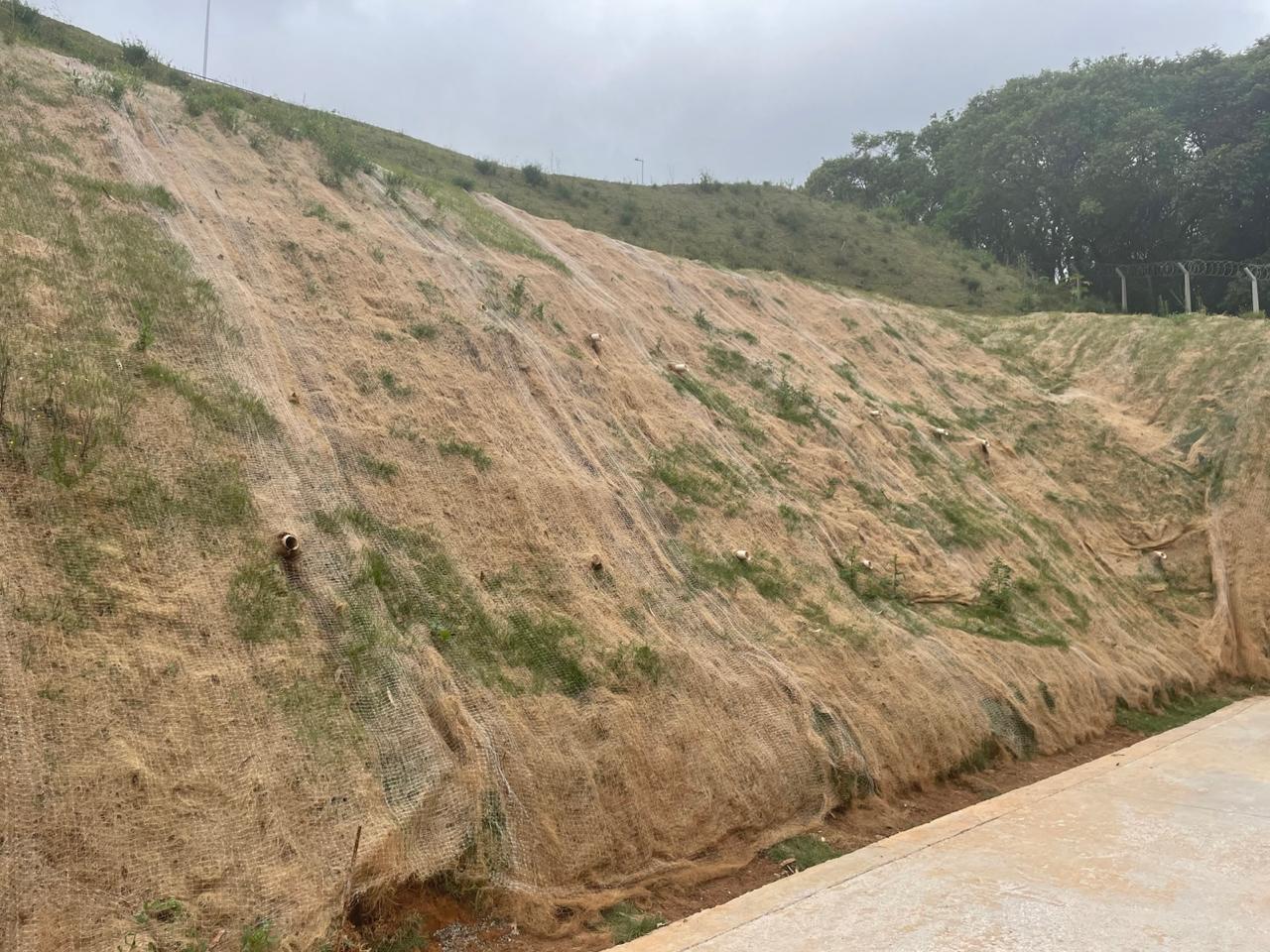 WhatsApp Image 2025-10-18 at 10.07.46.jpeg